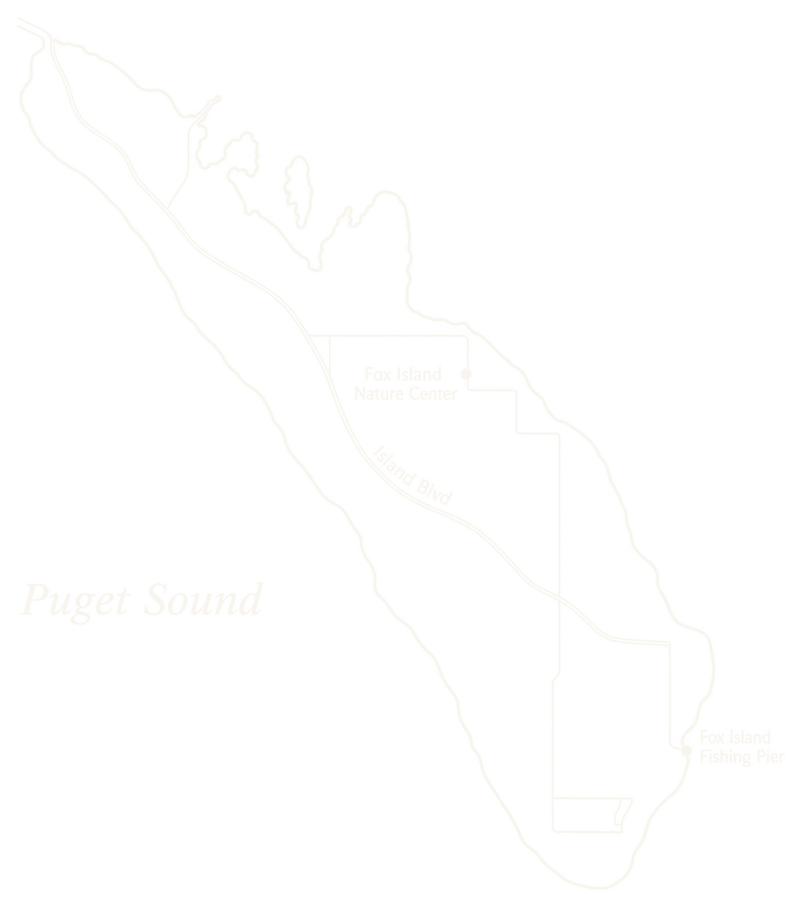 Line map of Fox Island, Washington