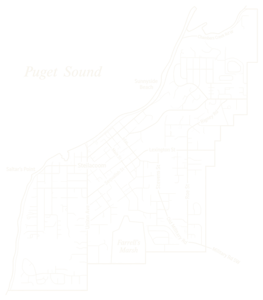 Line map of Steilacoom, Washington
